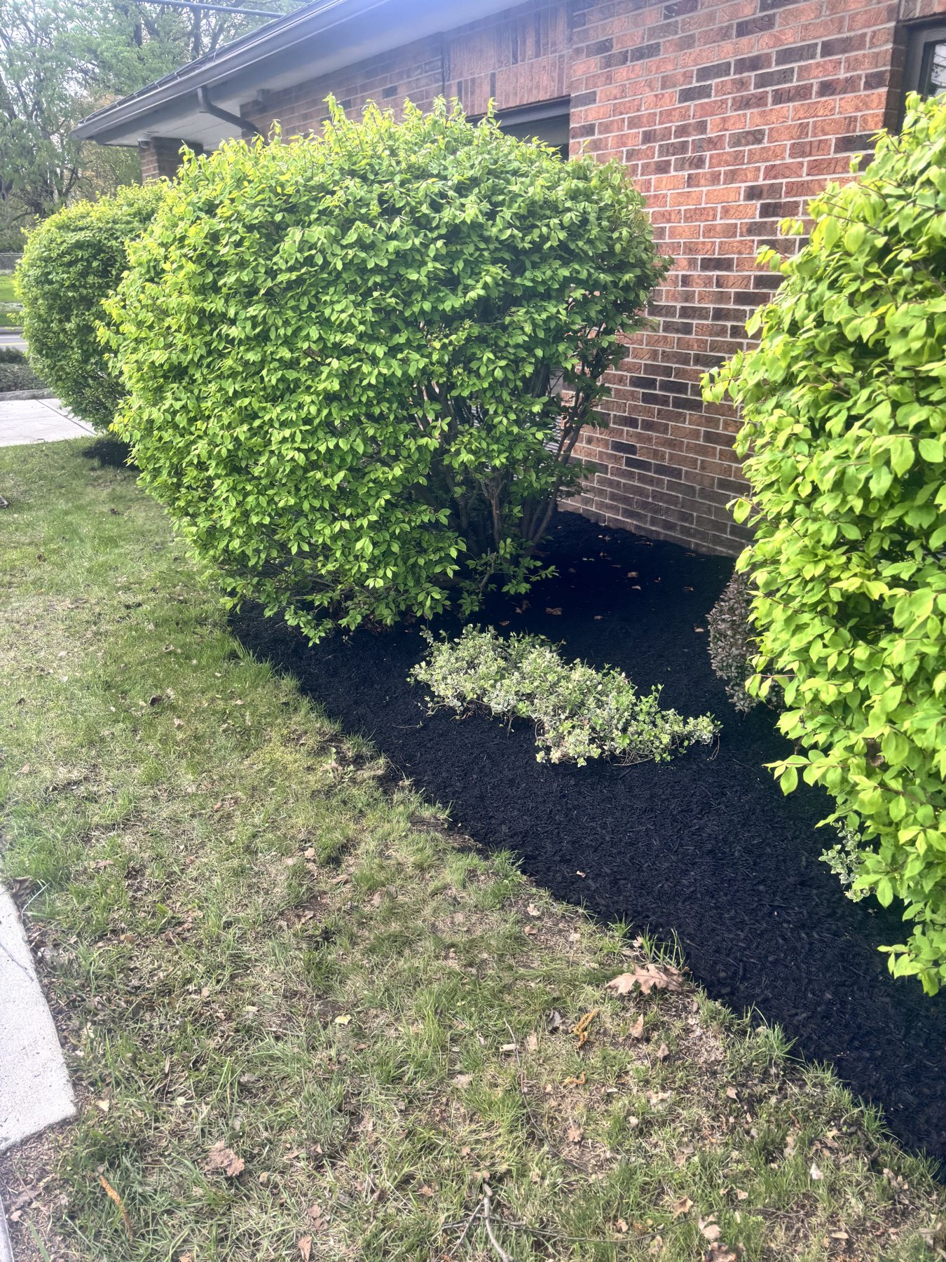 Mulch bed