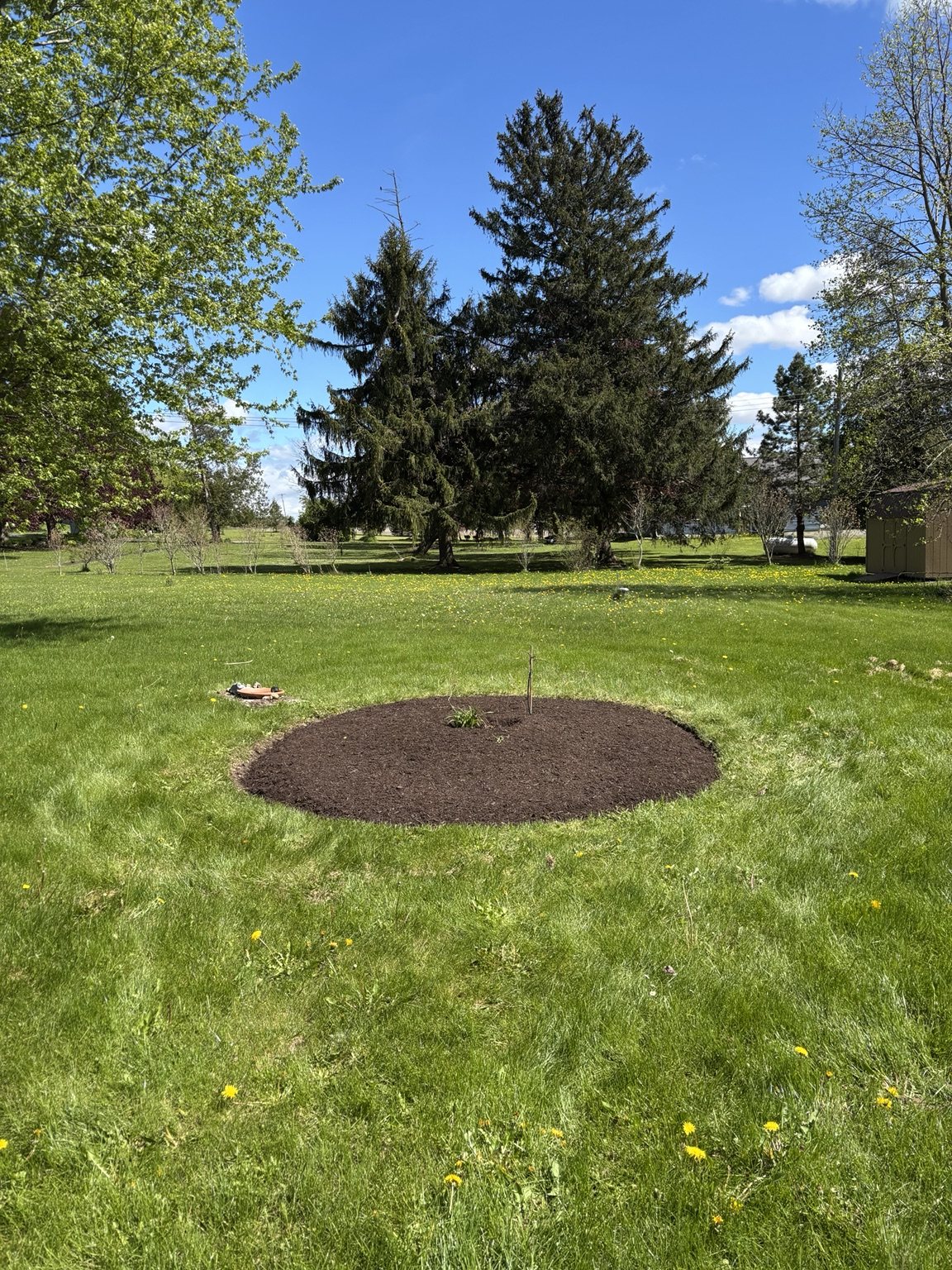 Mulch island