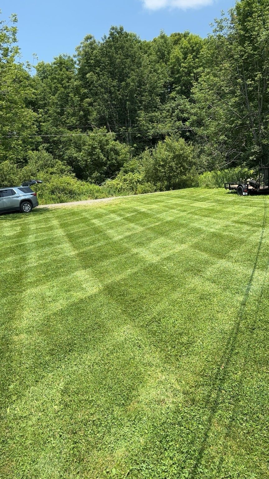 Striped lawn care